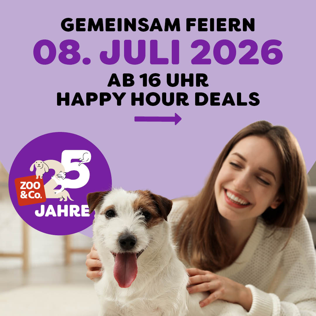 Entdecke die Happy Hour!