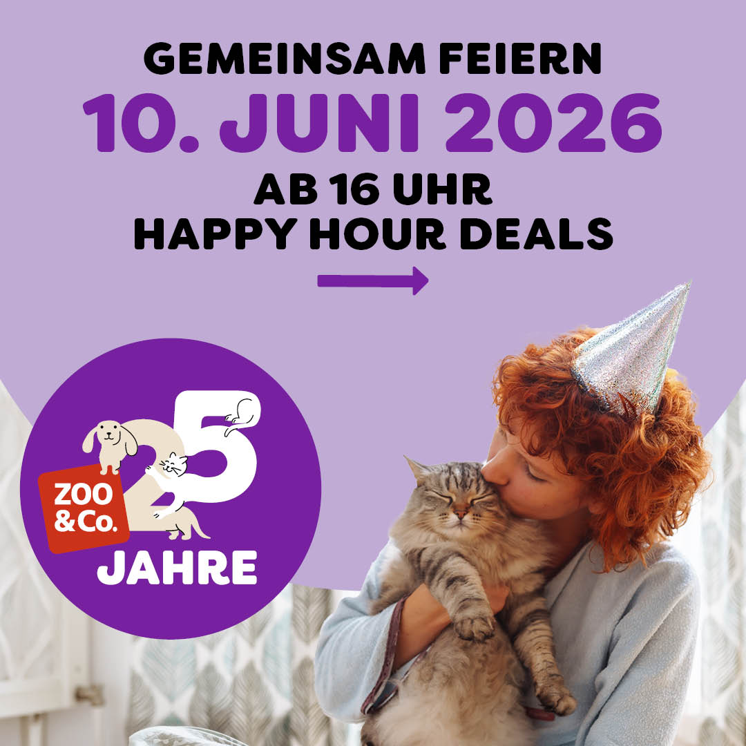 Entdecke die Happy Hour!