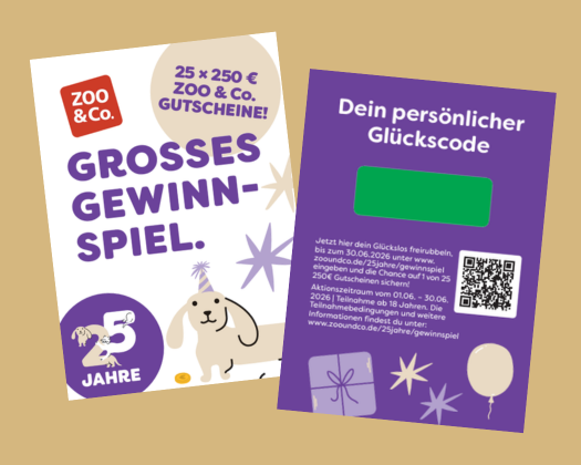Klassisches Gewinnspiel Karten mit Code